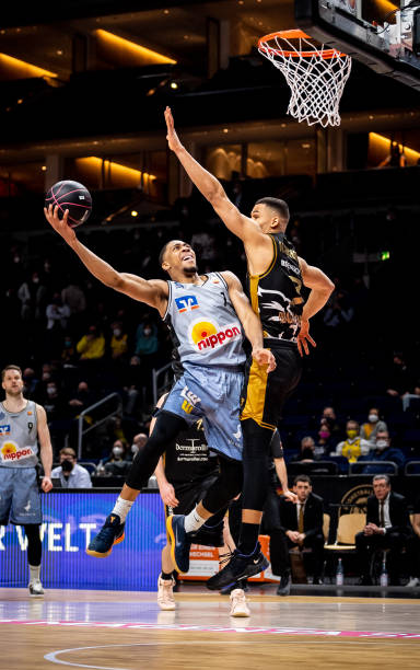 9岁的中卫 9岁的中卫